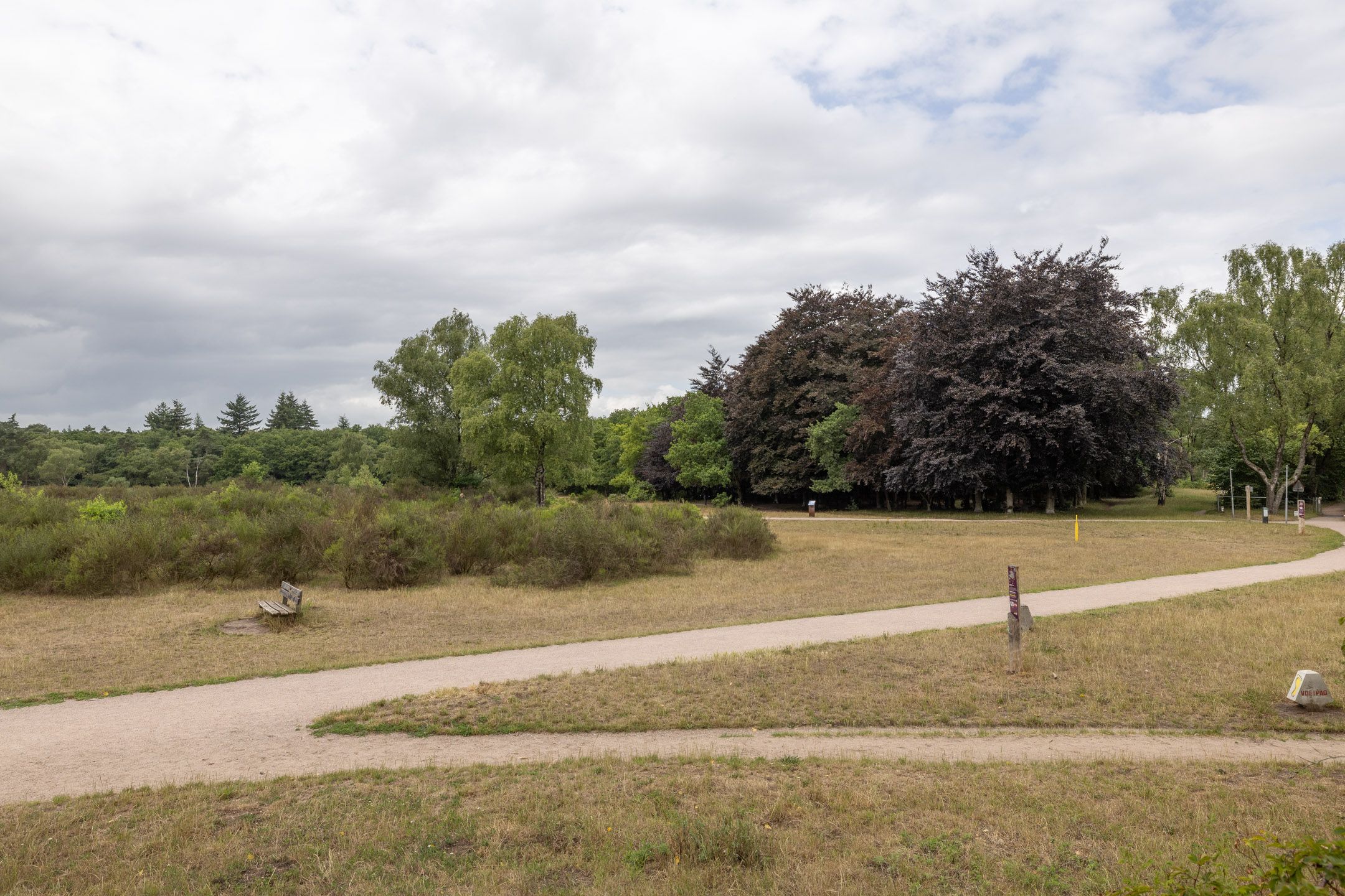 Foto 33 van Bosdrift 245