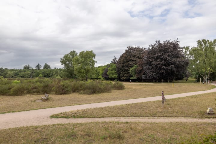 Foto 33 van Bosdrift 245