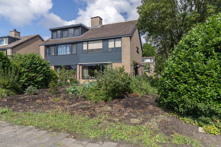 Foto 2 van Spieringweg 1029