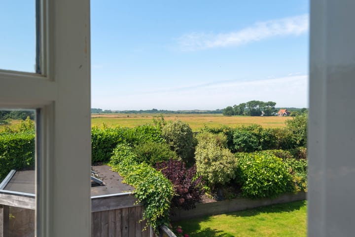 Foto 48 van Meidoornlaan 17