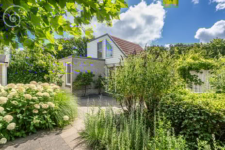 Klepperstee-Kastanje thumbnail