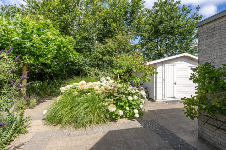 Foto 28 van Klepperstee-Kastanje 6