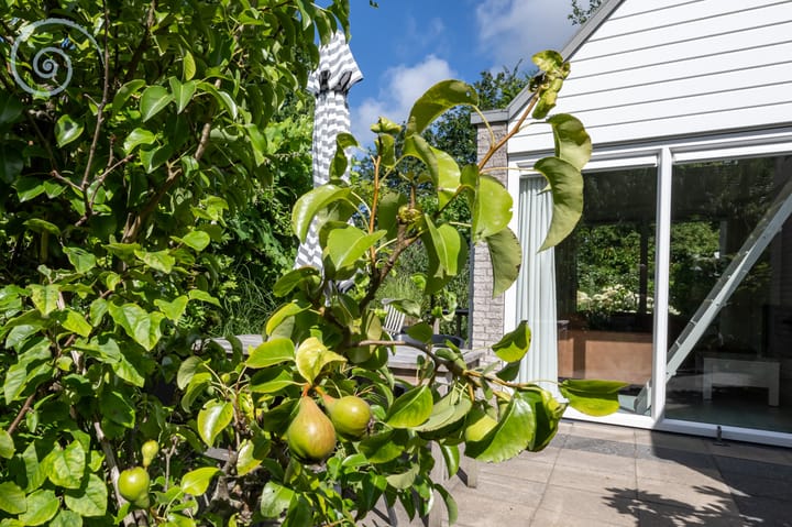 Foto 30 van Klepperstee-Kastanje 6