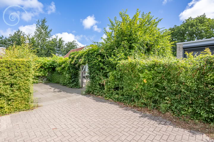 Foto 33 van Klepperstee-Kastanje 6