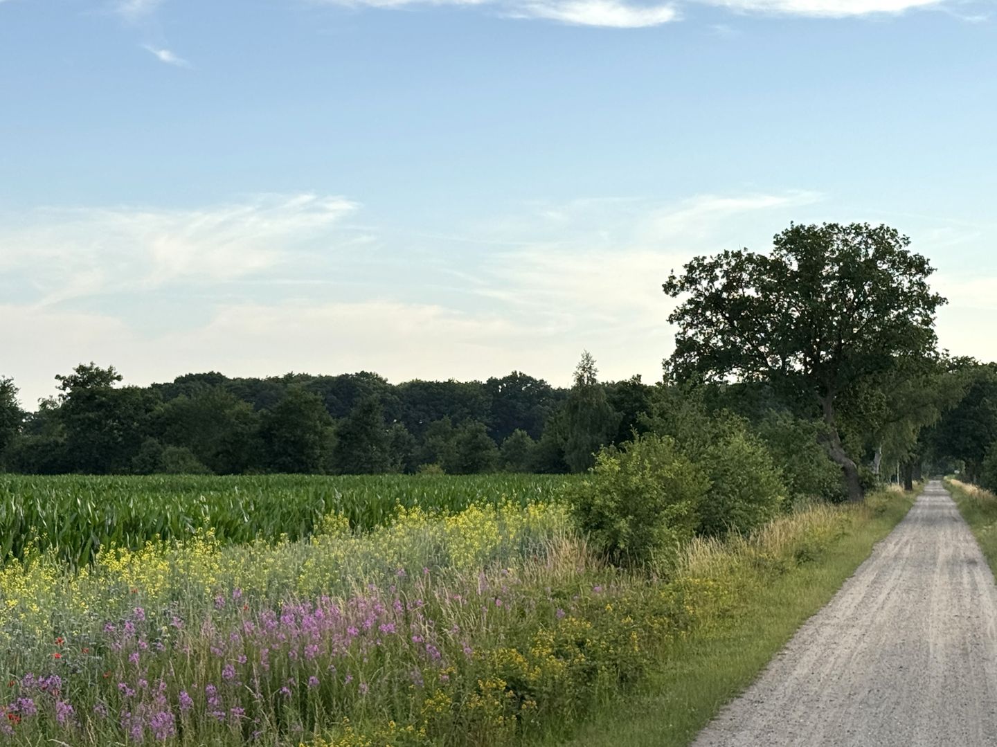 View photo 2 of Lendeweg 10