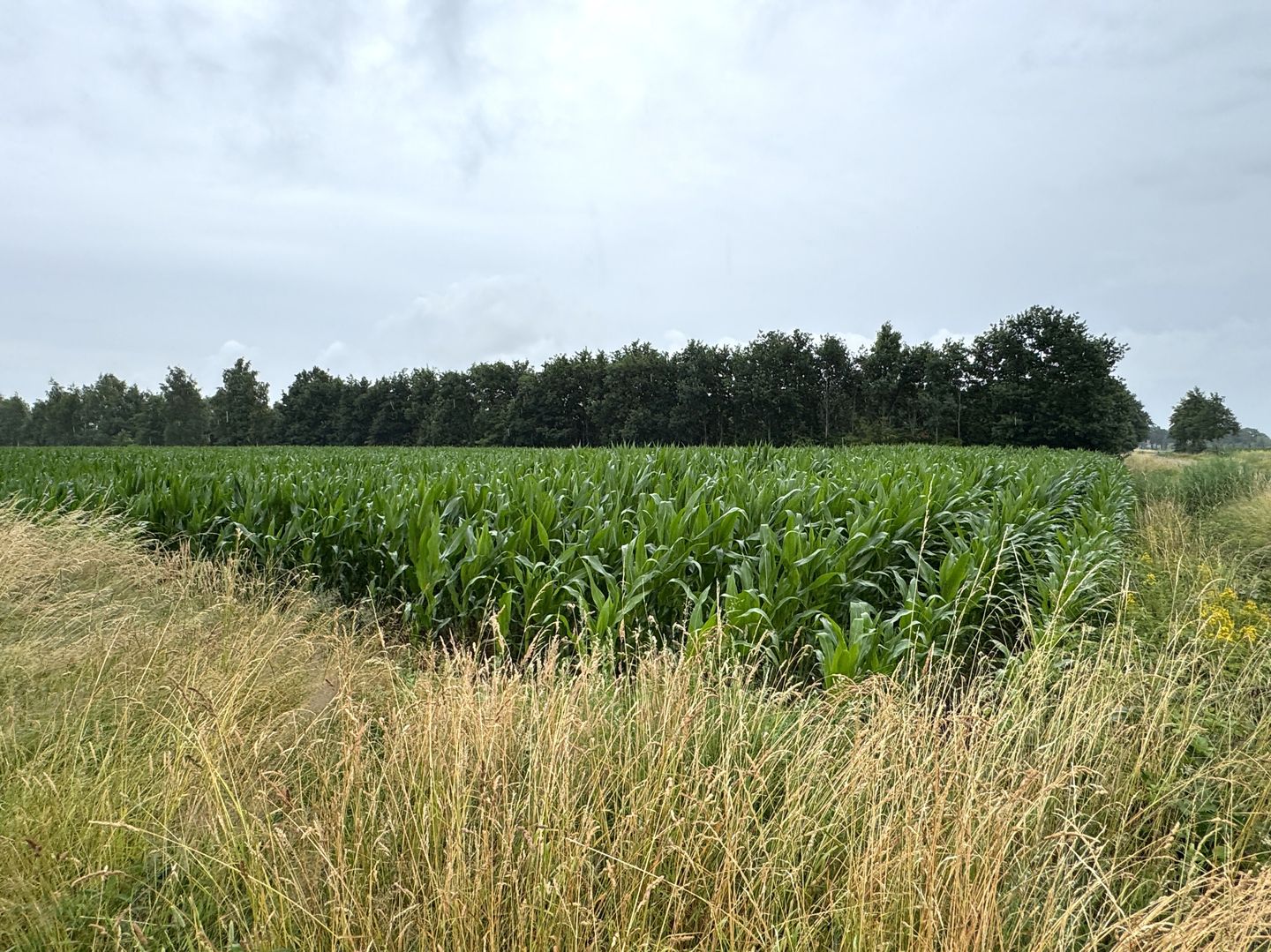 View photo 5 of Lendeweg 10