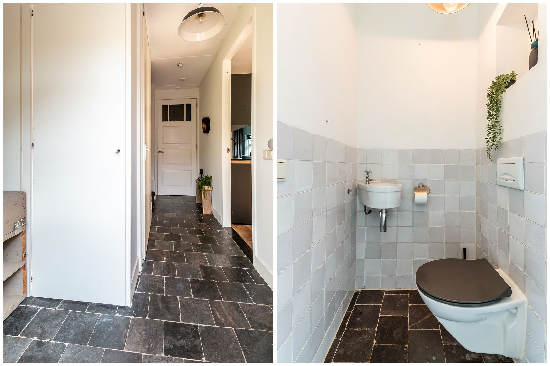 Foto 15 van Galjoen 11 51