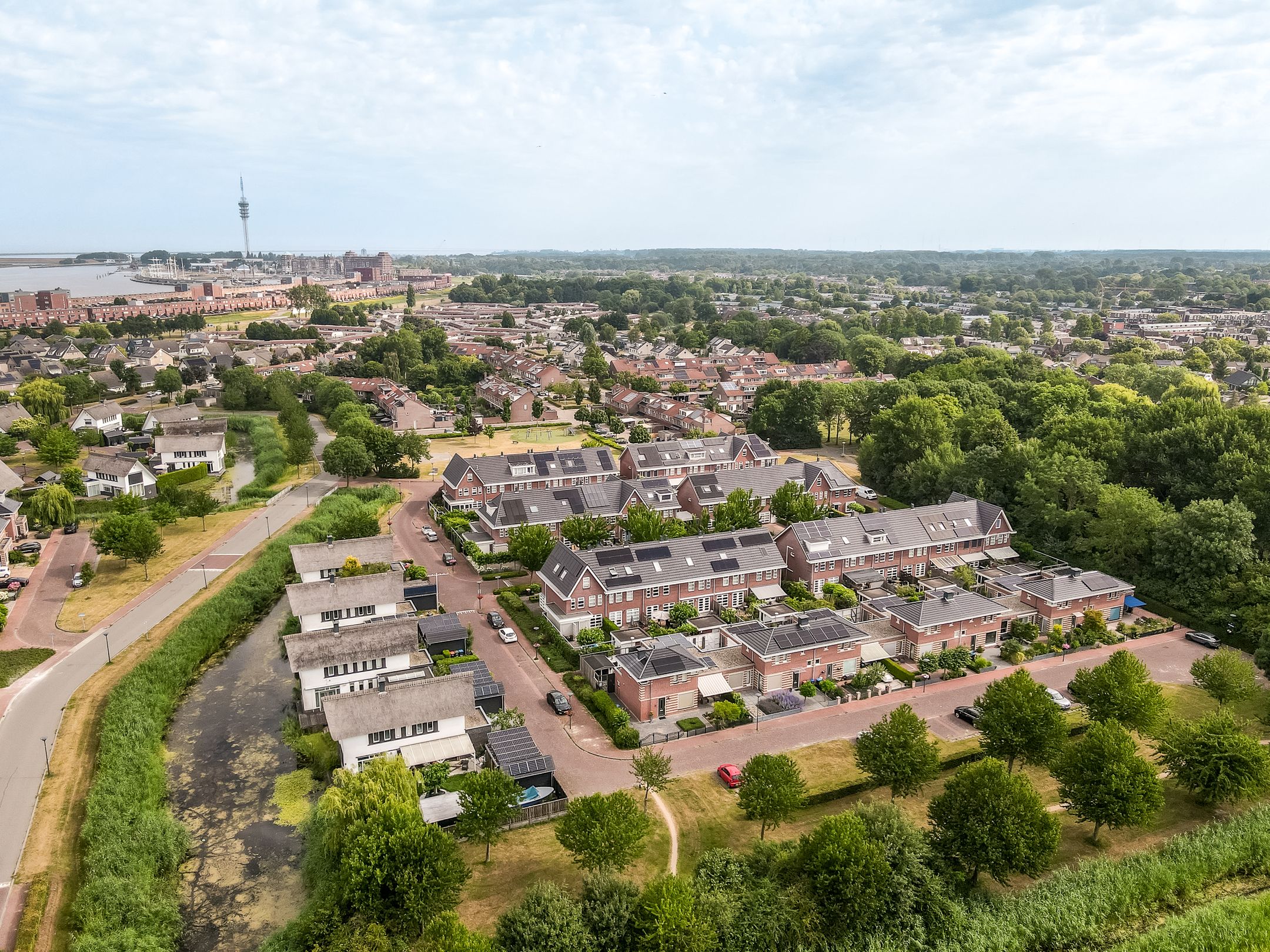 Foto 33 van Galjoen 11 51