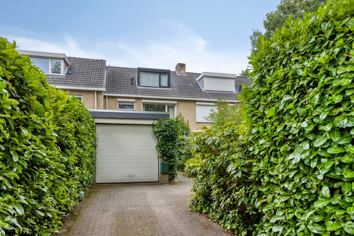 Foto 1 van Draviklaan 13