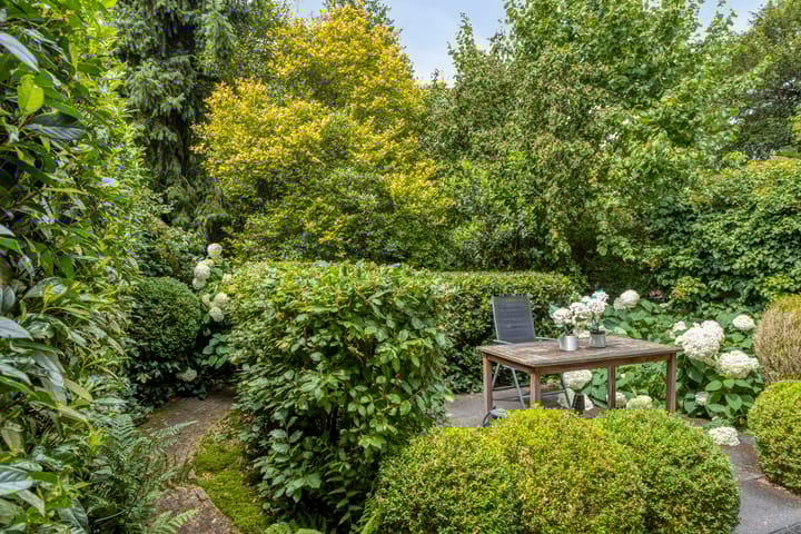 Foto 25 van Draviklaan 13