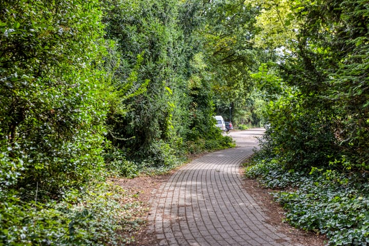 Foto 26 van Draviklaan 13