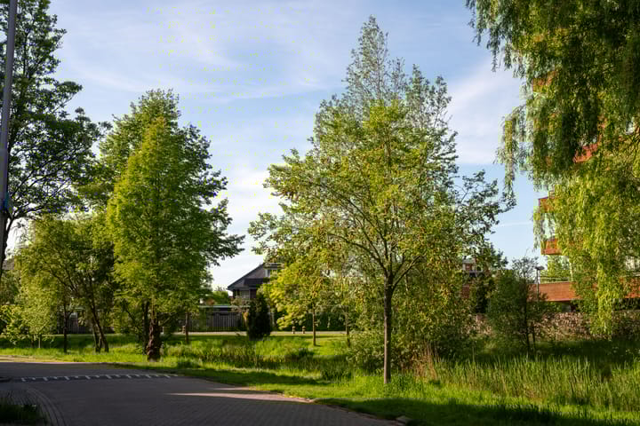 Foto 30 van Molensingel 83