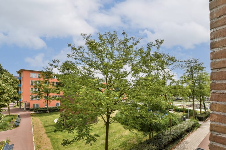 Photo 7 of Hildo Kropplein 101