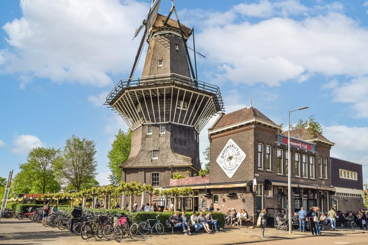 Photo 20 of Hildo Kropplein 101