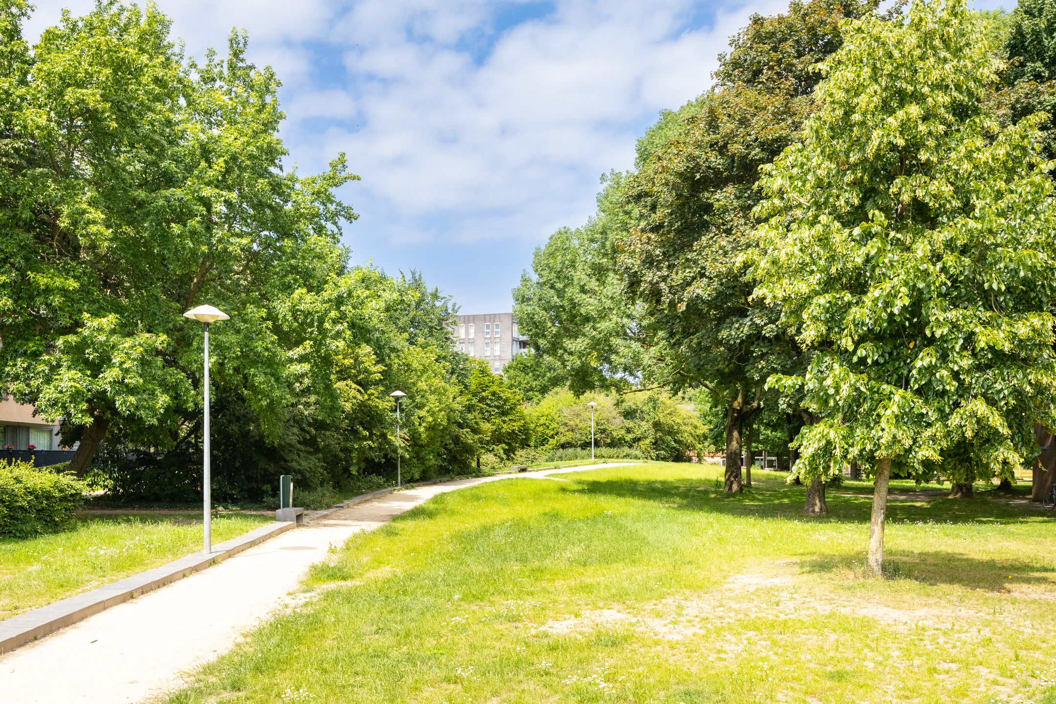 Foto 36 van Cornelis Dirkszstraat 39