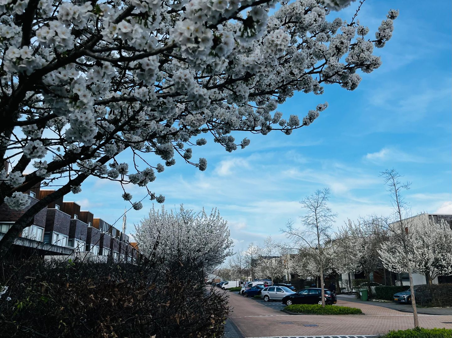 Foto 34 van Burgemeester Bracklaan 17