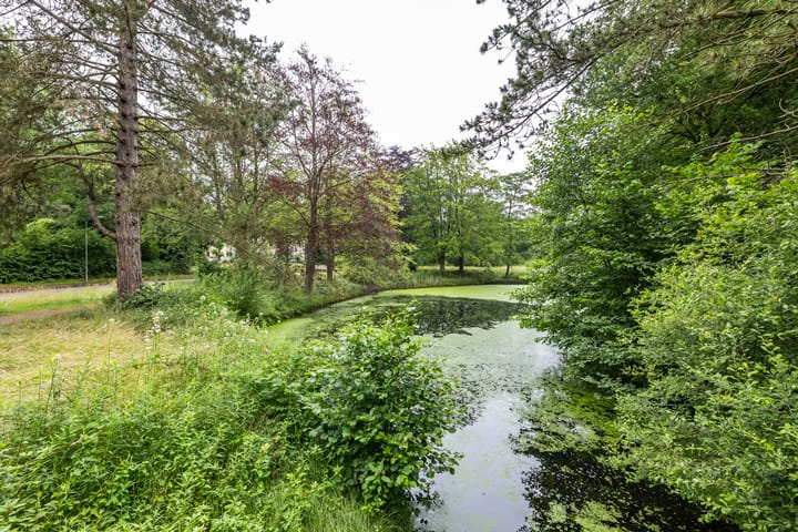 Foto 48 van De Fledders 36