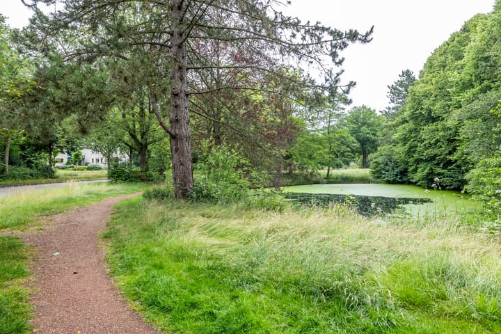 Foto 49 van De Fledders 36