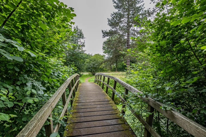 Foto 50 van De Fledders 36