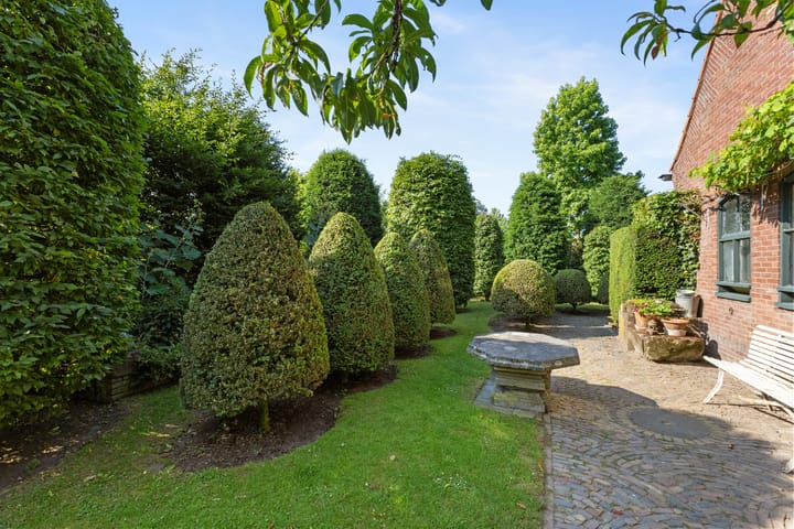 Foto 27 van Stadswal 61