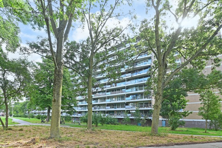 Foto 6 van Belvédèrebos 166