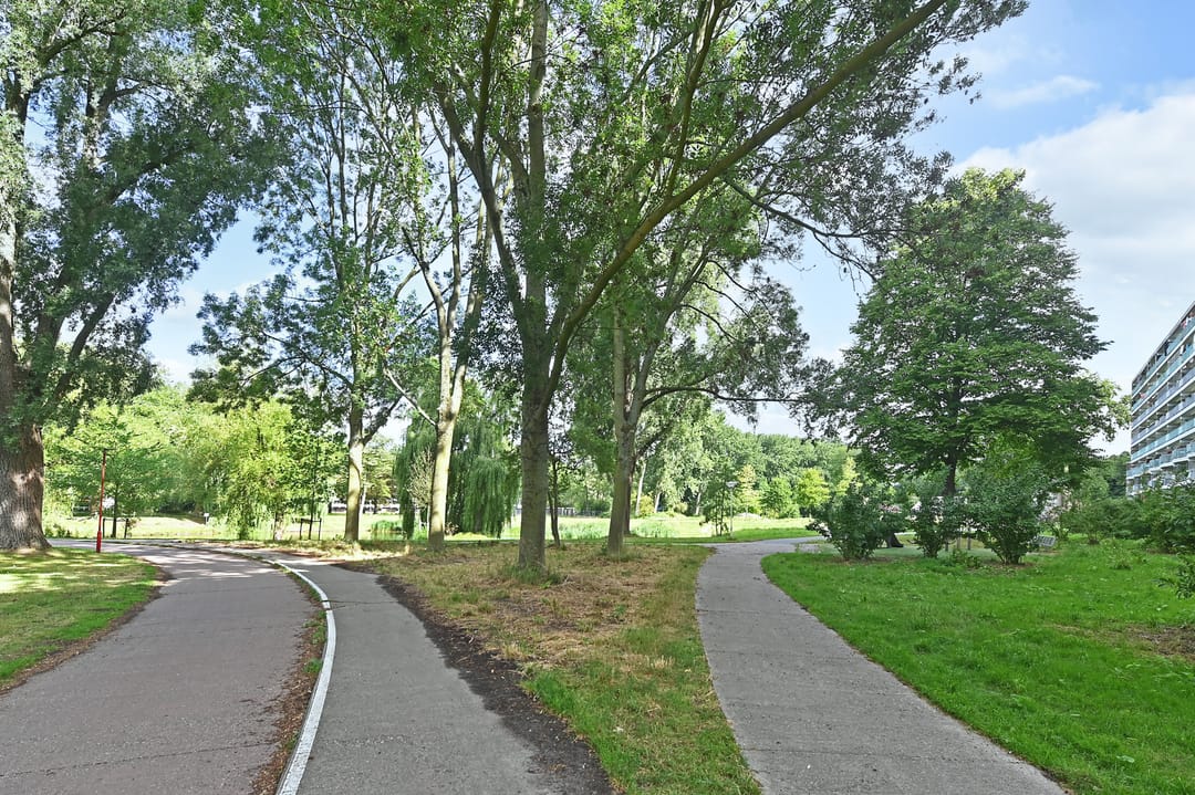 Foto 7 van Belvédèrebos 166