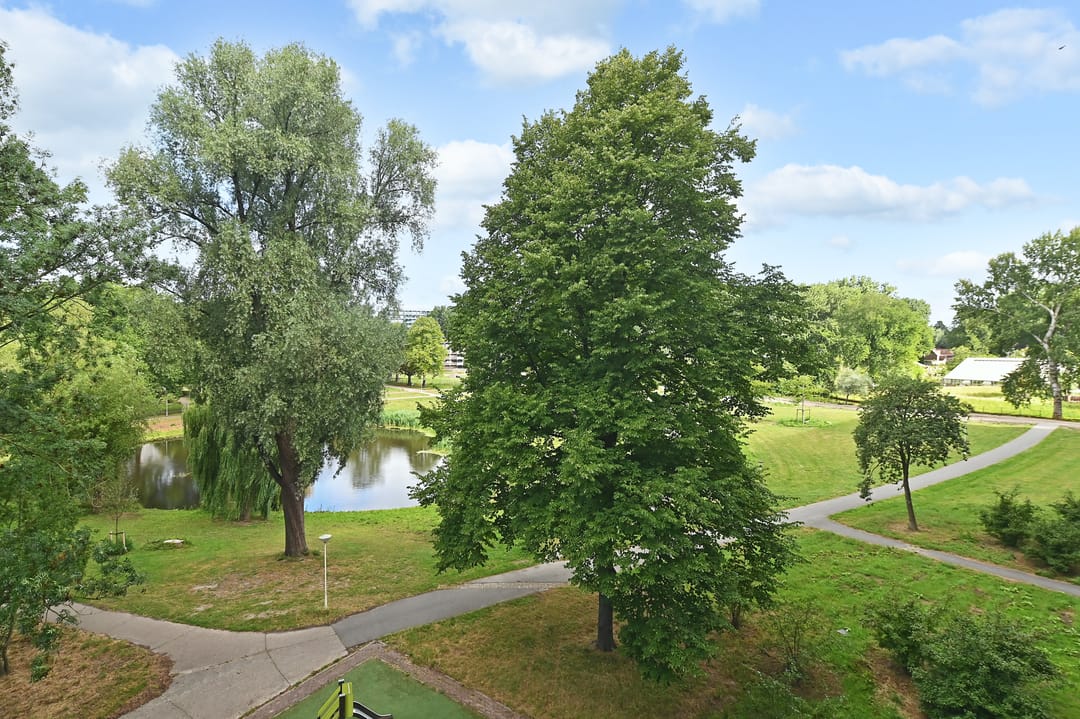 Foto 28 van Belvédèrebos 166