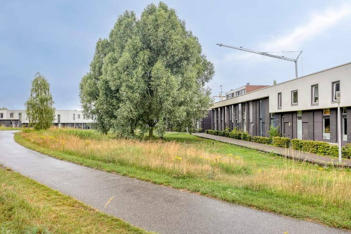 Foto 44 van Vuurvlinder 74