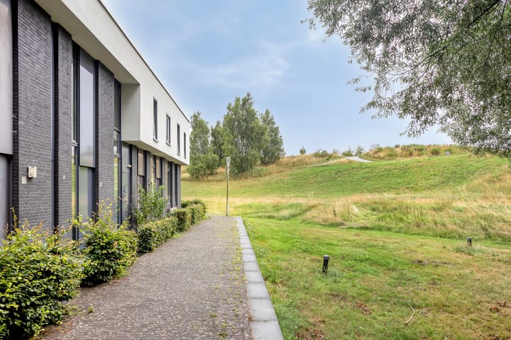 Foto 35 van Vuurvlinder 74