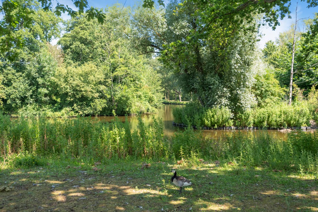 Photo 26 of Henri Dunantsingel 220