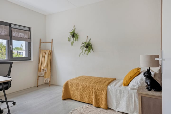 Foto 25 van Vuurvlinder 74