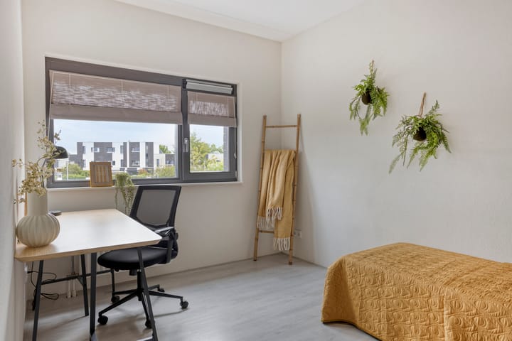 Foto 26 van Vuurvlinder 74