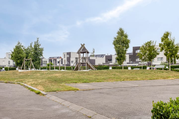 Foto 36 van Vuurvlinder 74