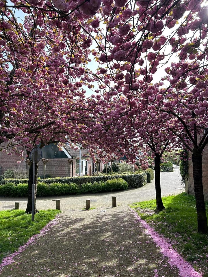 Foto 29 van Graaf Dirklaan 29