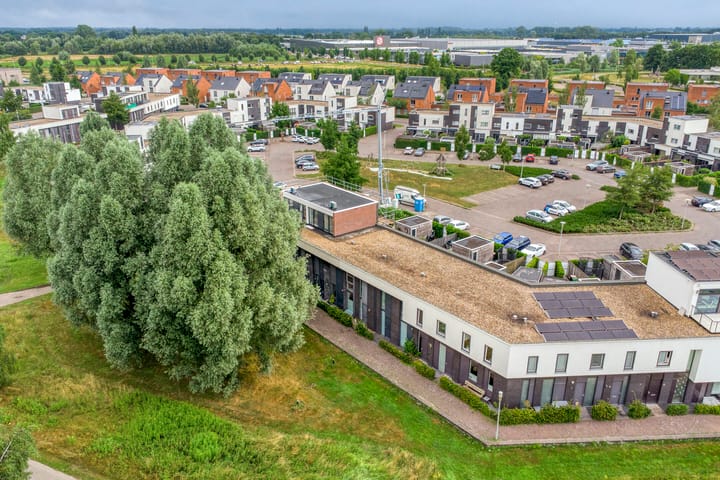 Foto 41 van Vuurvlinder 74