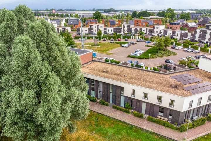 Foto 42 van Vuurvlinder 74