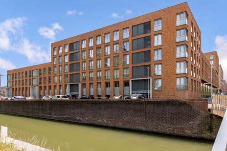 undefined main image