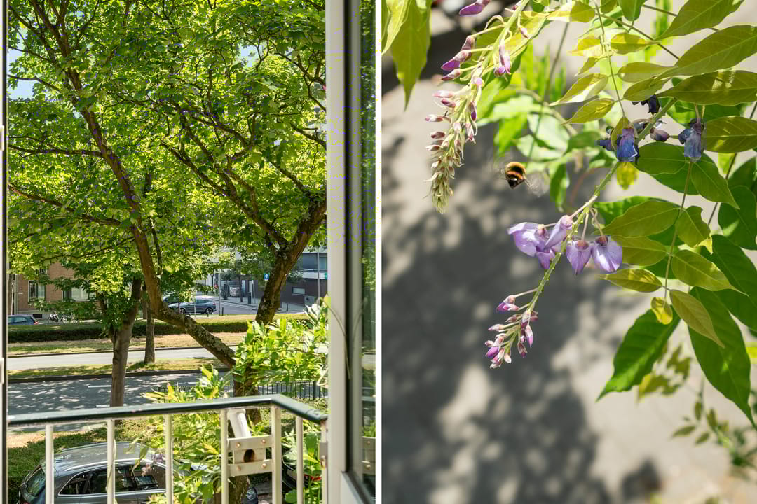 Foto 23 van Statenweg 187-B