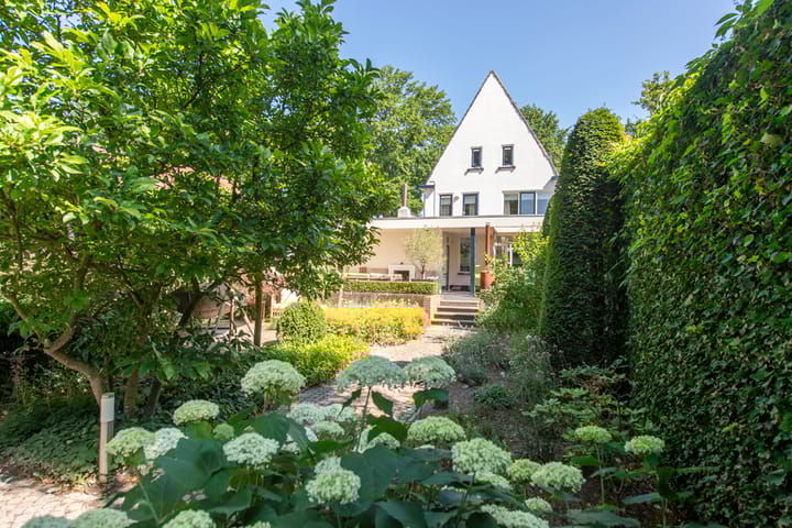 Photo 46 of Bredaseweg 408