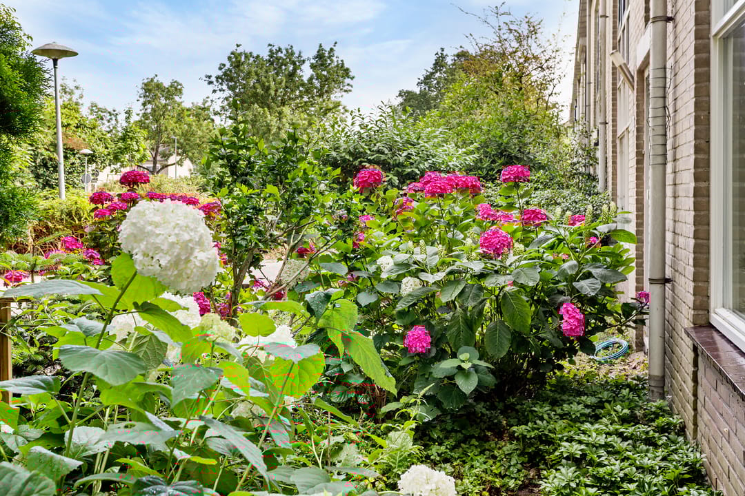 Photo 2 of Costa Ricadreef 307