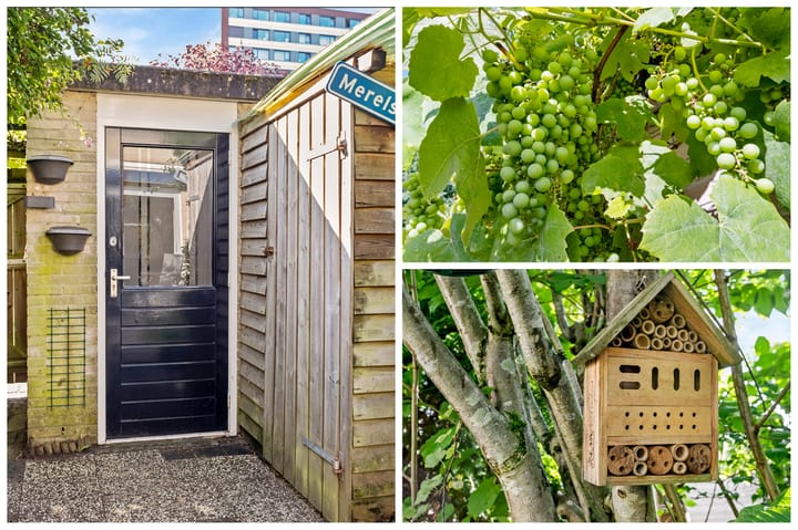 Foto 28 van Costa Ricadreef 307