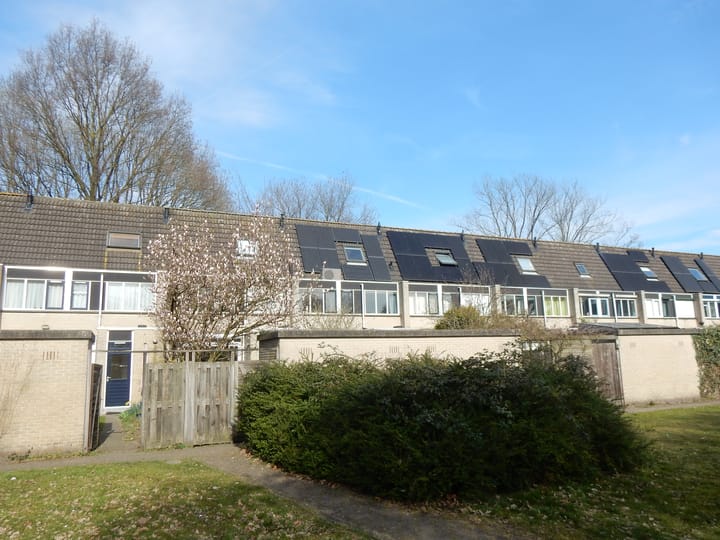 Foto 33 van Costa Ricadreef 307