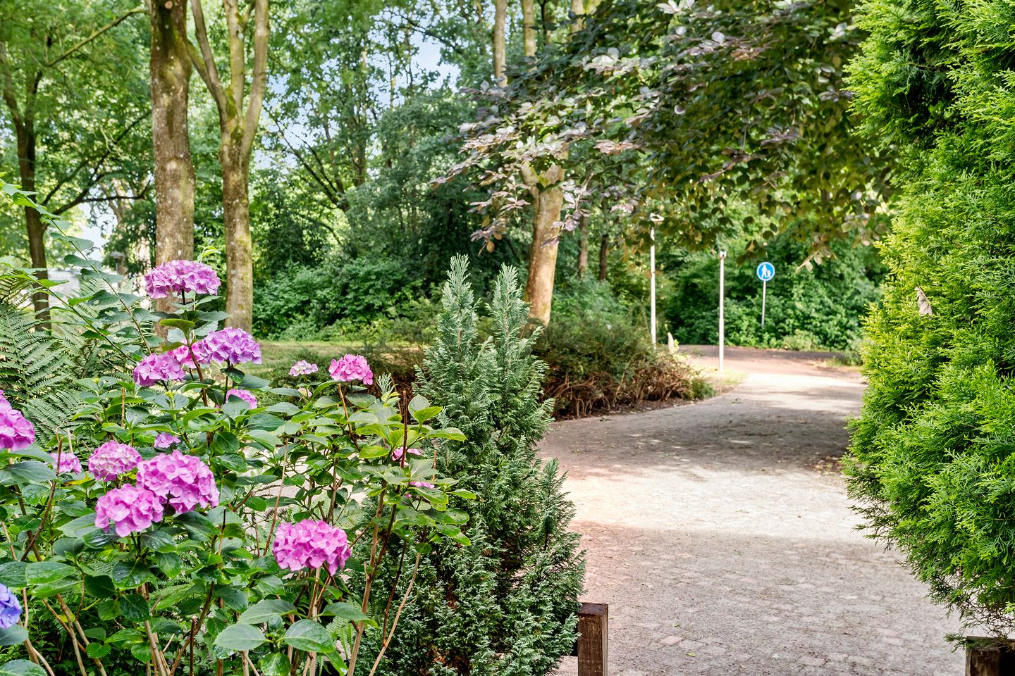 Photo 35 of Costa Ricadreef 307