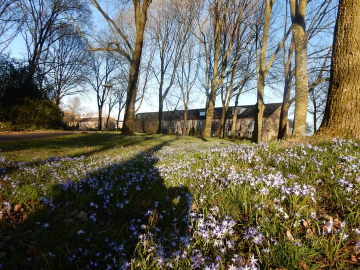 Foto 36 van Costa Ricadreef 307