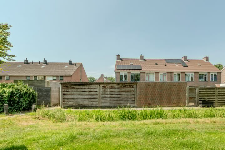 Foto 32 van Speenkruid 126