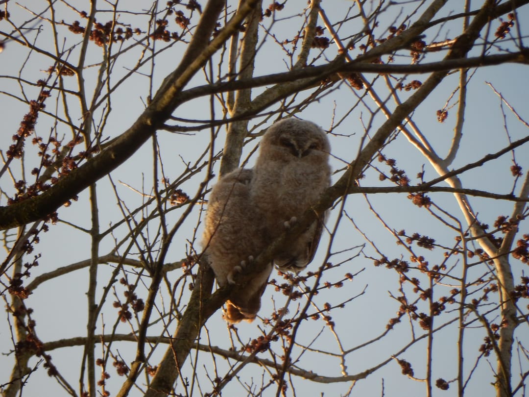 Photo 38 of Costa Ricadreef 307