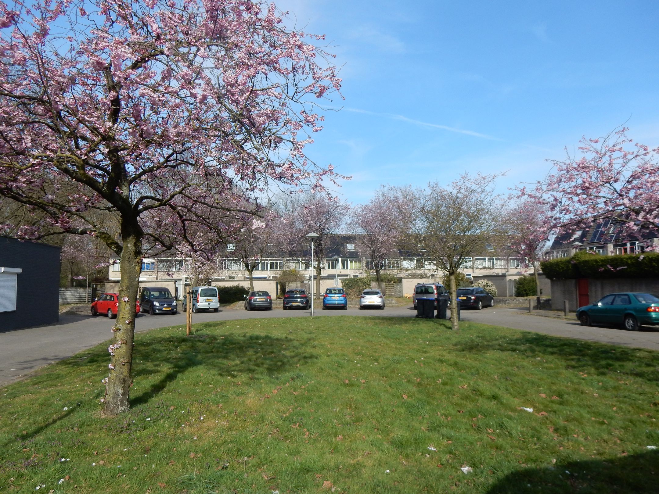 Photo 39 of Costa Ricadreef 307