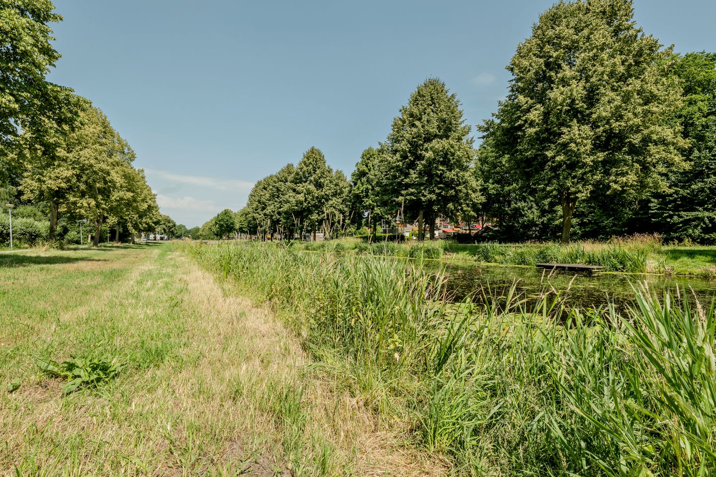 Foto 34 van Speenkruid 126