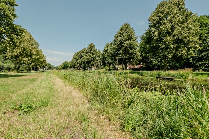 Foto 34 van Speenkruid 126