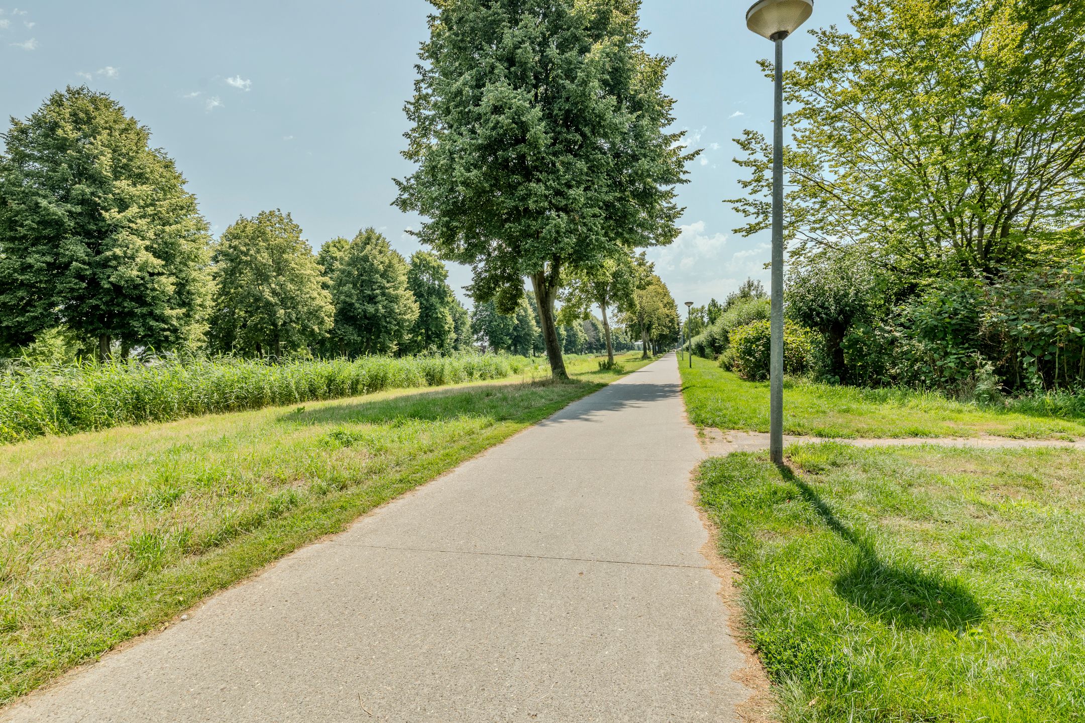 Foto 36 van Speenkruid 126